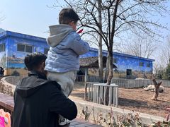 -西安秦岭野生动物园