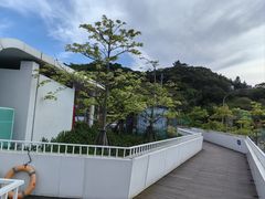 -大京沙滩