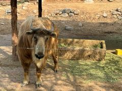 -济南野生动物世界