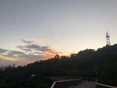 -金鸡山公园