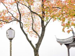 -老门东历史文化街区