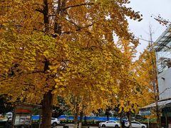 -四川农业大学(雅安校区)