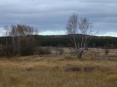 -塞罕坝国家级自然保护区