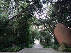 -南宁良凤江国家森林公园