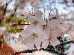 -南浦大桥长途旅游客运站