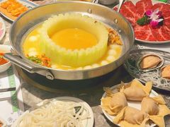 -禄婶鸡煲·打边炉