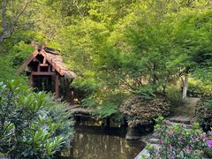 -杭州半山国家森林公园