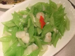 -楚畹园