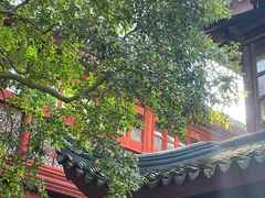 -东山雕花楼