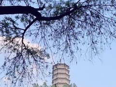 -深圳国际园林花卉博览园