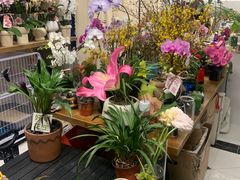-卓花境Flowerwonderland花店