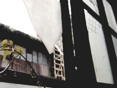 -书隐楼