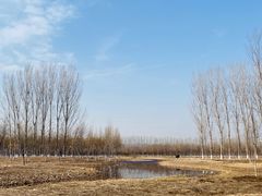 -东郊湿地公园