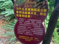 -广州长隆飞鸟乐园