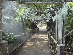 -青青世界