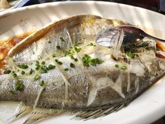 清蒸黄花鱼-得心斋(国瑞升平里店)