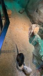 -酷嗒动物文化乐园(cutezoo西溪乐天城店)