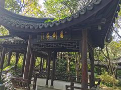 -上海佘山国家森林公园天马山园