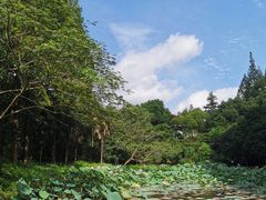 -上海怡沁园度假酒店