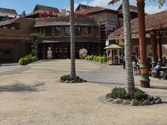 -上海野生动物园老虎餐厅