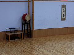 -日新剑道馆