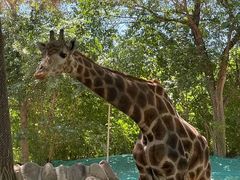 -北京野生动物园