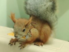 -佳雯宠物医院(四明中路分院)