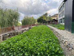 -鄞州雪菜博物馆