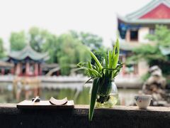 -MAP CHA普洱茶馆(翠湖店)