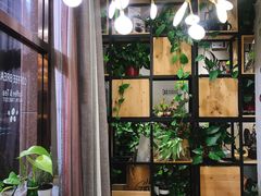 -ZING COFFEE 镜咖啡