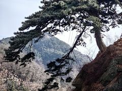 -泰山风景名胜区