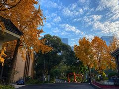 -望江宾馆-普吉岛餐厅