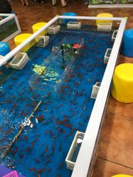 -万达宝贝王(南昌西湖店)