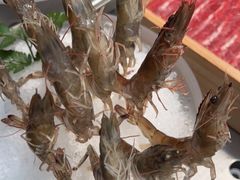 -王家渡火锅店(棕榈泉店)