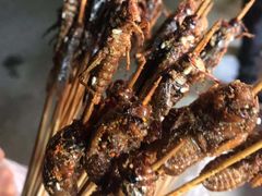 -大学城夜市大排档(凤栖路店)