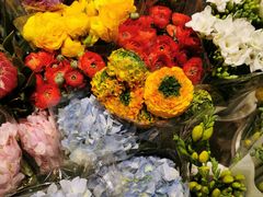-双季花艺园艺市场(浦东店)