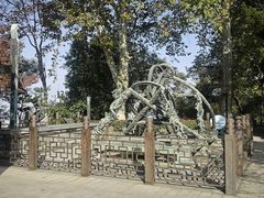 -紫金山天文台