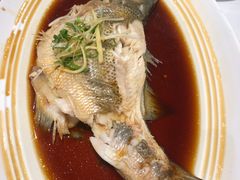 -眉州东坡(团结湖店)