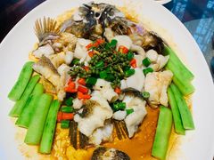 -猪肉婆私房菜(容桂总店)