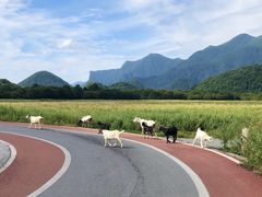 -神农架景区