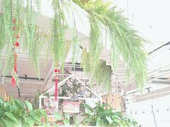 -嘉和一品粥(方庄店)