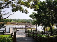 -大湾区中央湿地公园