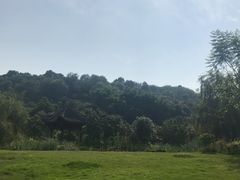 -张坝桂圆林公园