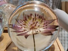 -谷莠子花艺·气球派对·绿植造景·花艺沙龙(金光华广场店)