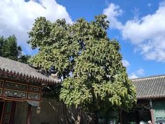 -张学良旧居陈列馆