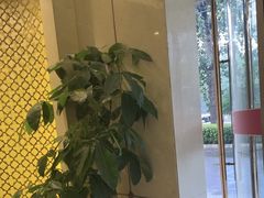 -华夏良子·足道SPA艾灸(三里屯店)