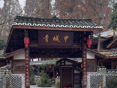 -青城甲(青城山店)