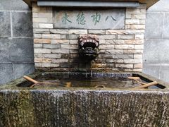 -灵谷景区