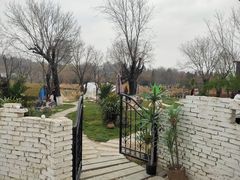 -Supine Bistro溯泮餐厅