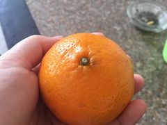 -鲜力达果品批发直销(青山店)